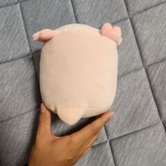 ころころらいふの画像