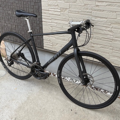 GIANT escape 【整備済】 2022 GIANT Bicycles | ESCAPE R DISC MS