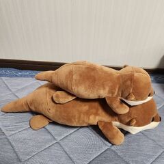 カワウソのぬいぐるみの画像