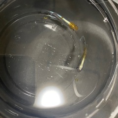 メダカ無人販売
の画像