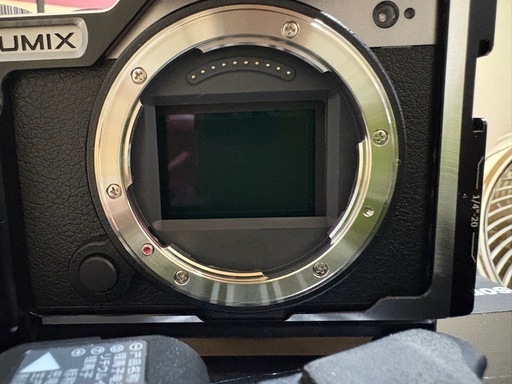 Lumix S9予備バッテリー２つ非売品レンズ付き　