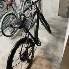 電動アシストクロスバイク　EVA PLUS CROSSの画像