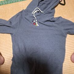 XLサイズ　半袖➕ゲームボイソフト➕デズニM【処分】の画像