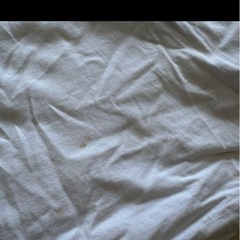 ホワイト プリント Tシャツ diselの画像