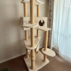 キャットタワーの画像