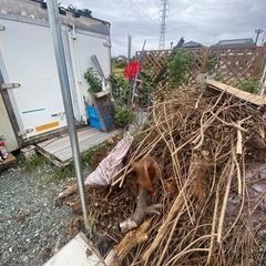 【無料】木材、板類、伐採木などの画像