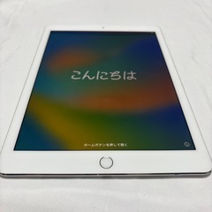 iPad Pro Wi-Fi Apple直販版 シルバー OS16.7.12の画像