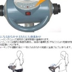 家庭用ベルトバイブレーターの画像