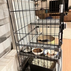 猫 ゲージ 3段の画像