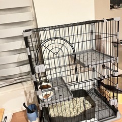 猫 ゲージ 3段の画像