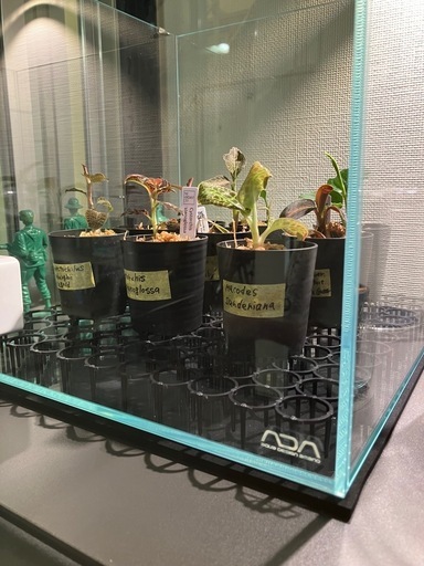 ADAキューブガーデン300x300x300