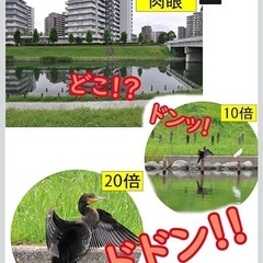 双眼鏡 ライブ用 20倍 オペラグラス 【超軽量·お子様や女性に最適】スポーツ観戦用 双眼鏡 コンサート 防振 軽量 小型 防水 倍率調整可能 ライブ/オペラ/観劇/スポーツ観戦/登山/旅行/アウトドア/野鳥観察 ネックストラップ 収納ケース付きの画像