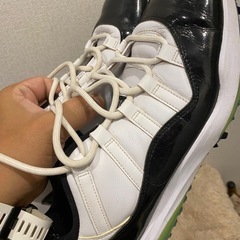 【稀少27.5cm】JODAN 11 Retro Low GOLF Concordの画像