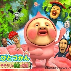 こびとづかん探しています
