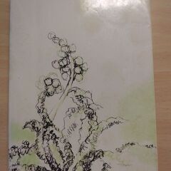 『愛の終りの時』石川達三　新潮文庫の画像