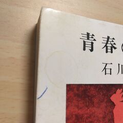 『青春の蹉跌』石川達三　新潮文庫②の画像