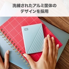 Mac用ポータブル ハードディスク 容量2TBの画像