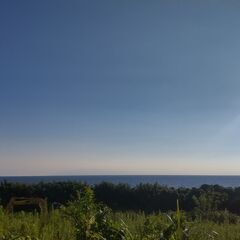 【九州〜関西のアーティスト募集】あなたの作品を鹿児島で！カフェ仕様のガレージ壁をキャンバスに✨ − 京都府