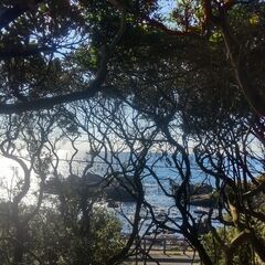 【九州〜関西のアーティスト募集】あなたの作品を鹿児島で！カフェ仕様のガレージ壁をキャンバスに✨ - 京都市