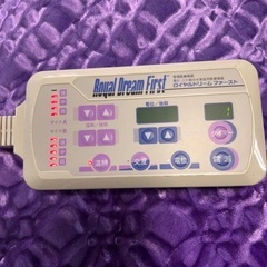 Royal Dream First 電気毛布 紫色 フルセット