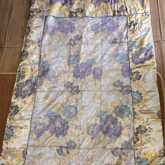 Royal Dream First 電気毛布 紫色 フルセット