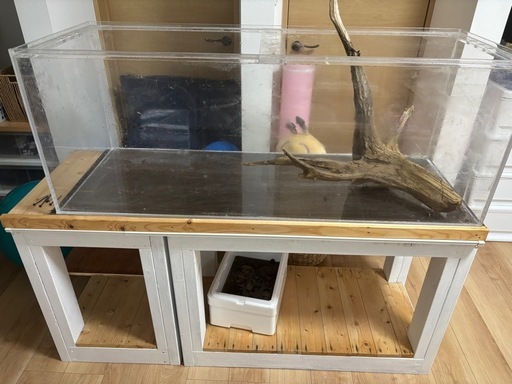 1200アクリル水槽