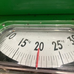 令和5年産ヤシロモチの画像