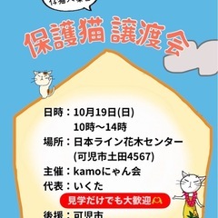 保護猫譲渡会in花木センター 20251019