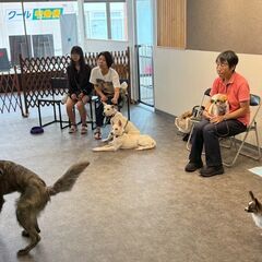 パピーレッスン ~仔犬とこれからも楽しく過ごせるように~