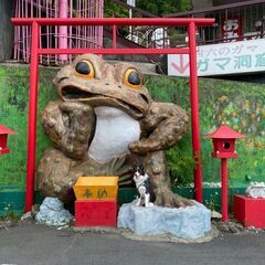 COL ADVENTURES #001 筑波山で秋のパワー…