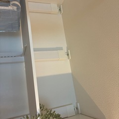 棚、木、ラブリコの画像