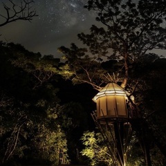 【正社員】ツリーハウスビルダーチームの新規募集の画像