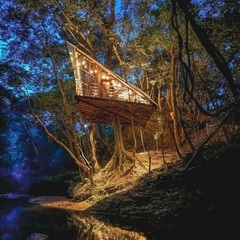 【正社員】ツリーハウスビルダーチームの新規募集の画像