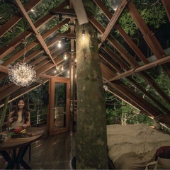 【正社員】ツリーハウスビルダーチームの新規募集の画像