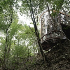 【正社員】ツリーハウスビルダーチームの新規募集の画像