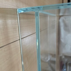 DOOA ネオグラスエア水槽の画像