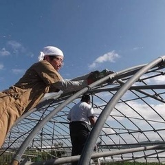 🉐ビニールハウス解体や組み立て🉐見積もり無料