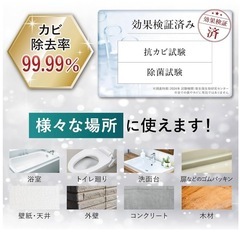 モルクリアプロ カビ掃除 2本セットの画像