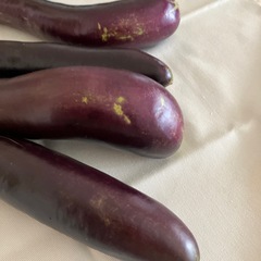 【取引完了】朝採れ長茄子（4本）の画像