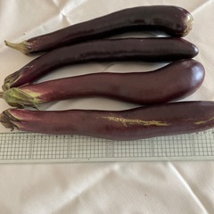【取引完了】朝採れ長茄子（4本）