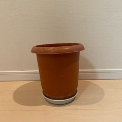 プラスチック鉢の画像