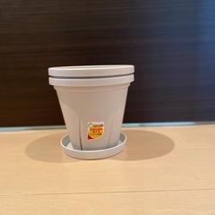 プラスチック鉢の画像