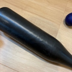 フリスビー他の画像