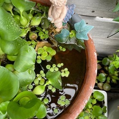 水槽セットの画像
