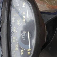 ホンダディオの画像