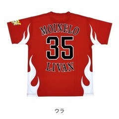 9/20本日！！A席 ペアチケットソフトバンクvsオリックスの画像