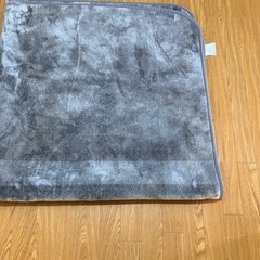 二畳用　ラグの画像