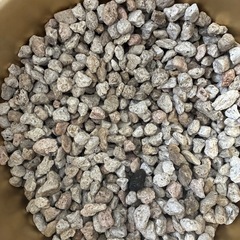 ADA水槽セットの画像