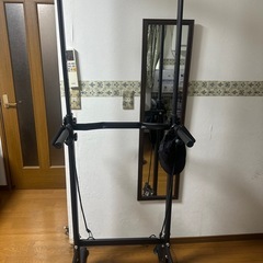 懸垂マシンの画像