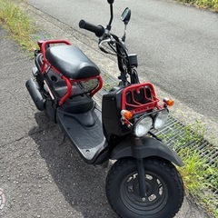 ホンダ　ズーマー50 キャブ車両　実働車両の画像